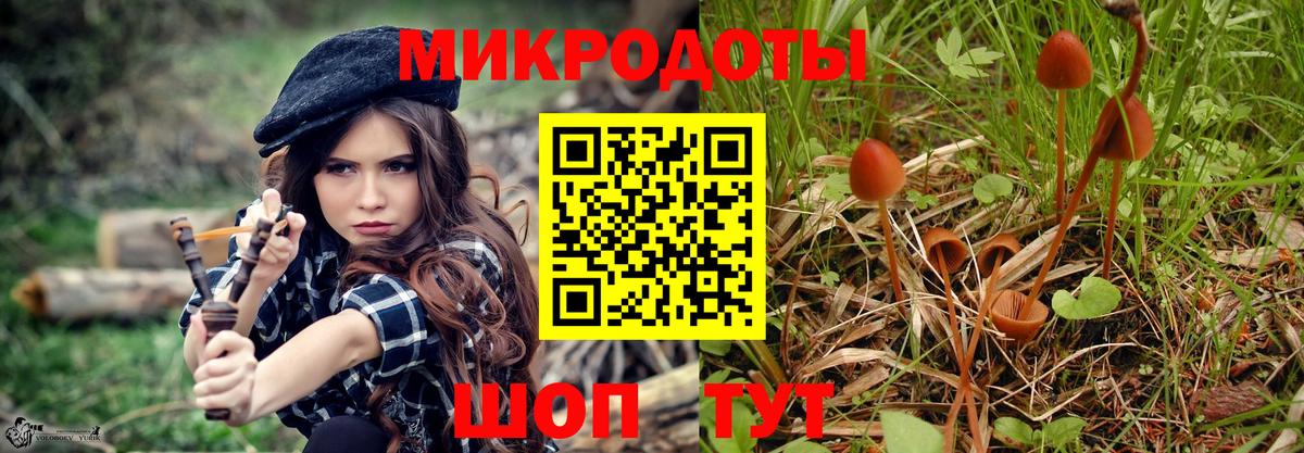 Галлюциногенные грибы Psilocybine cubensis Касимов