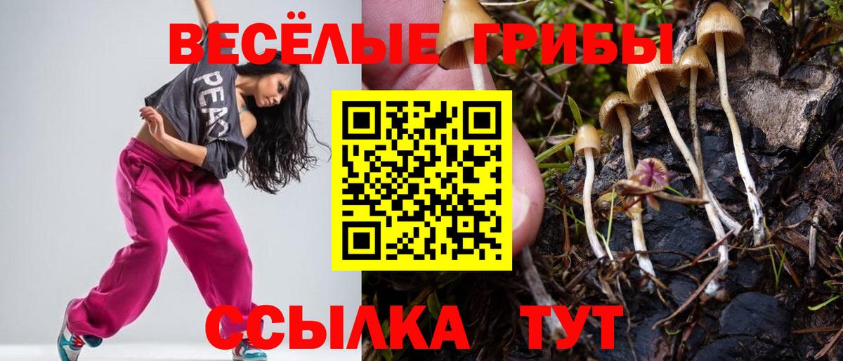 Псилоцибиновые грибы мицелий  Вход с VPN  как найти закладки  Касимов 